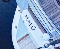 ヨットを楽しむ　MALU SAILNIG　